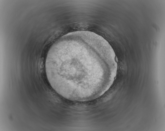 X0000114220818200911061505