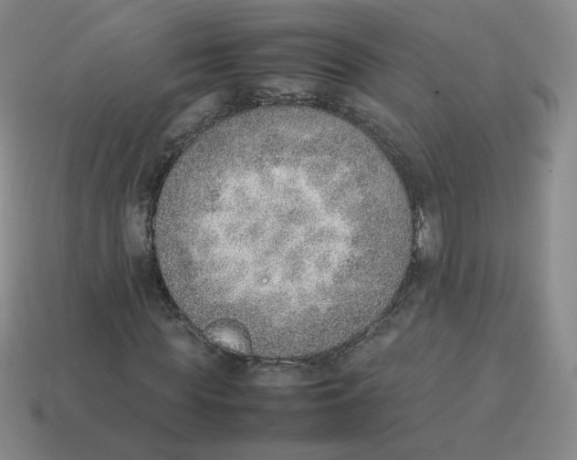 X0000114220819200911061505