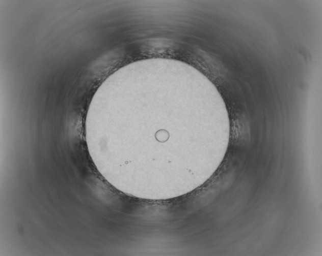 X0000114220820200911061505