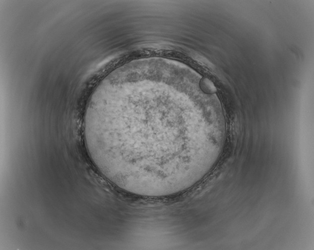 X0000114220822200911061505