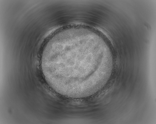 X0000114220823200911061505