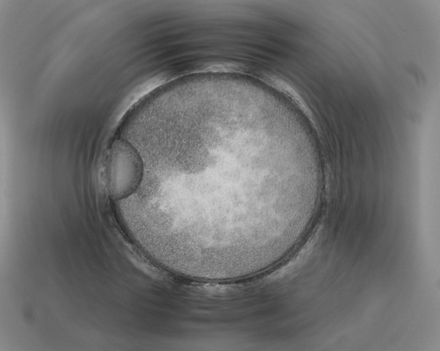 X0000114220827200911061505