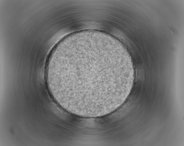 X0000114220828200911061505