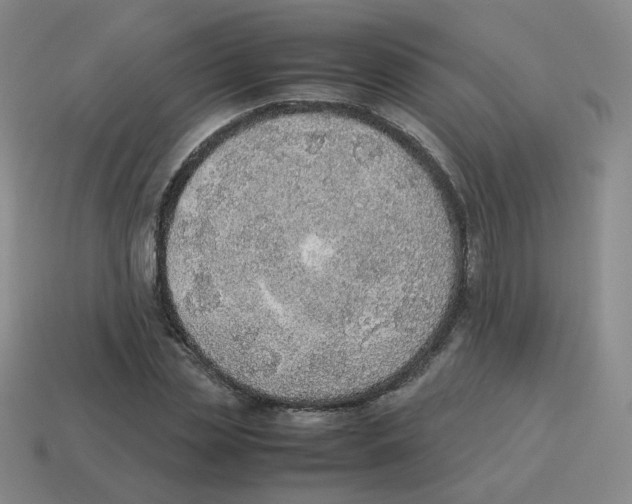 X0000114220829200911061505