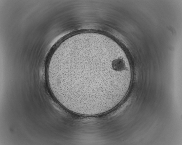 X0000114220830200911061505