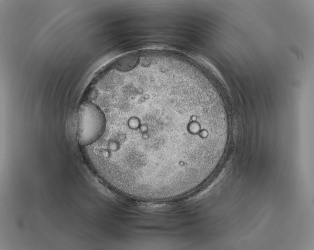 X0000114220831200911061505