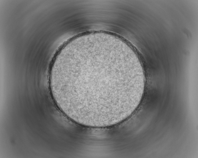 X0000114220832200911061505