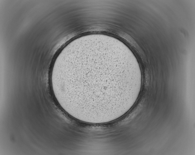 X0000114220834200911061505