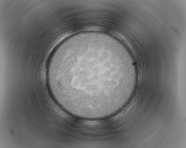 X0000114220835200911061505