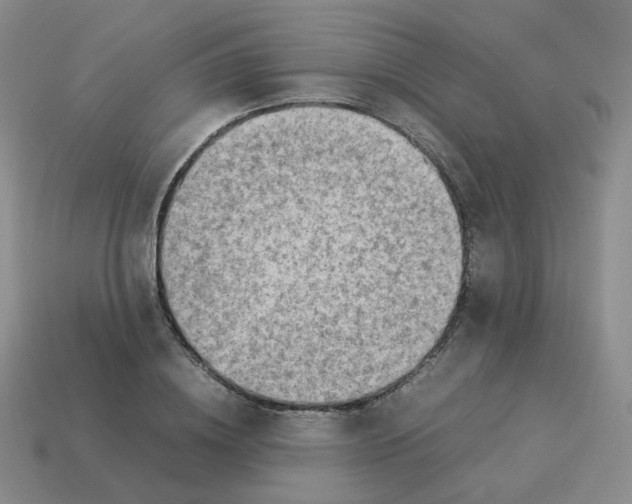 X0000114220836200911061505