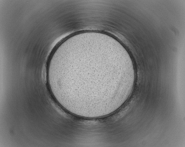 X0000114220838200911061505