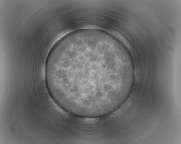 X0000114220839200911061505