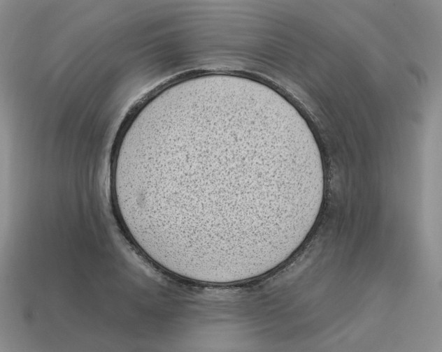 X0000114220840200911061505