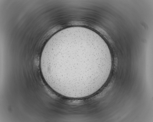 X0000114220841200911061505