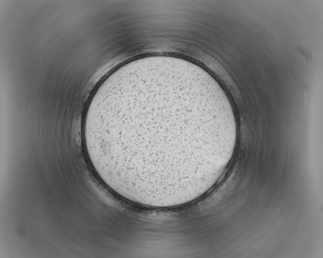 X0000114220842200911061505