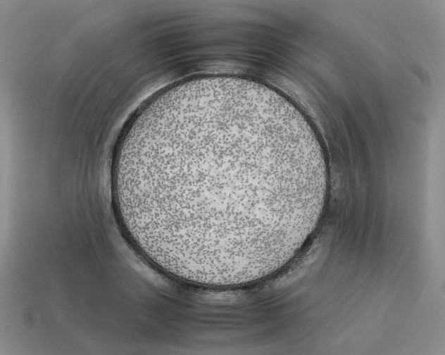 X0000114220843200911061505