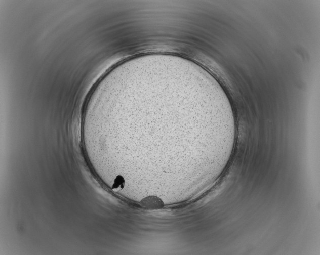 X0000114220844200911061505