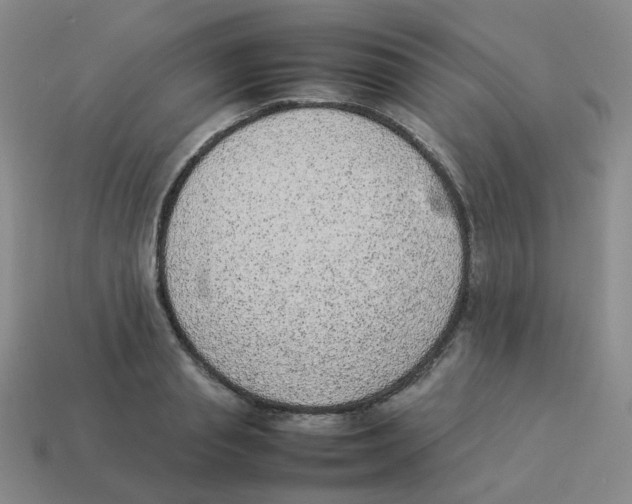 X0000114220845200911061505