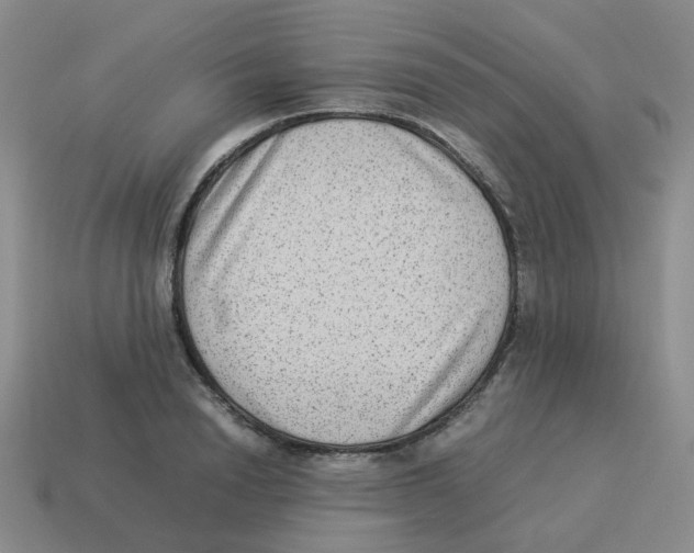 X0000114220846200911061505