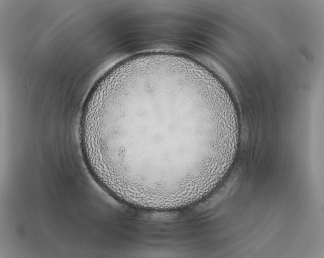 X0000114220847200911061505