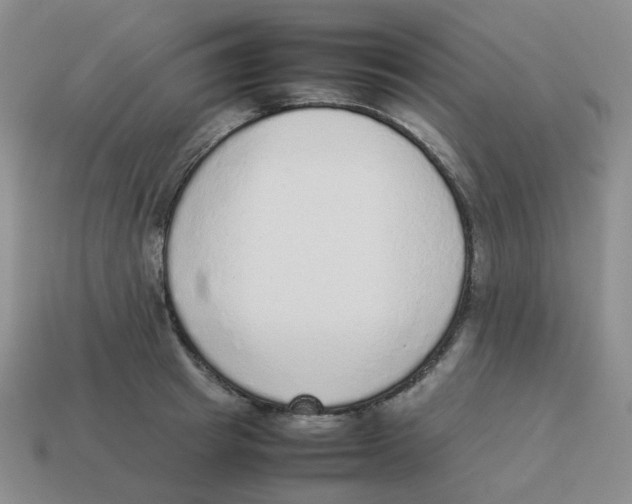 X0000114220849200911061505