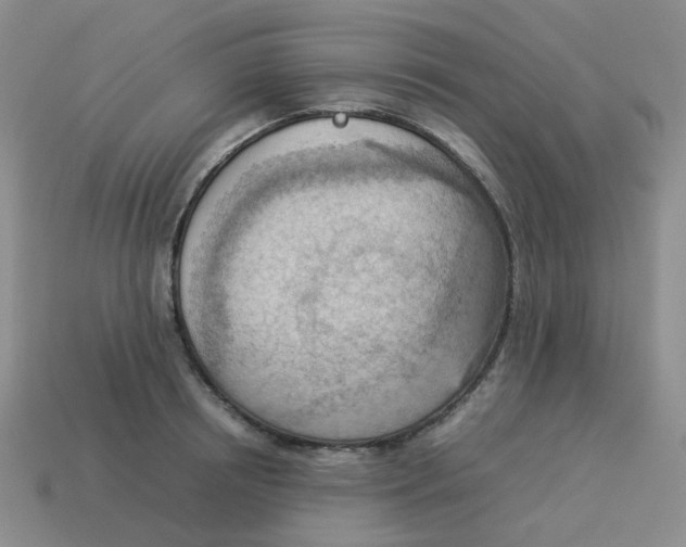 X0000114220850200911061505