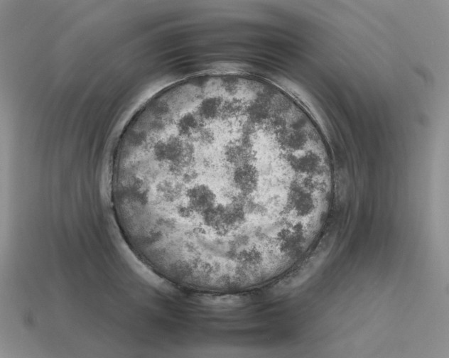 X0000114220851200911061505