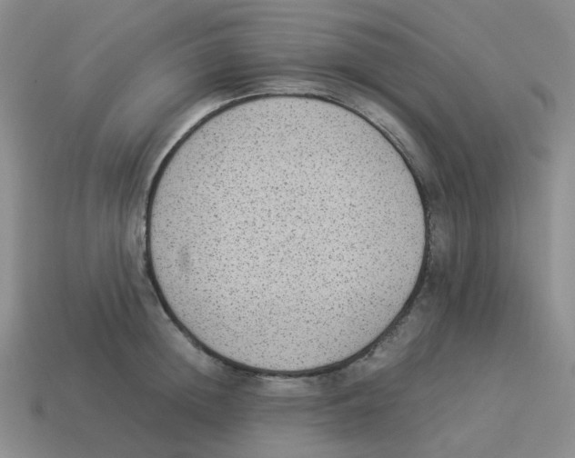 X0000114220852200911061505