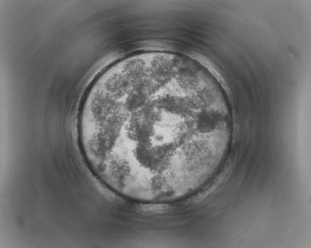 X0000114220853200911061505