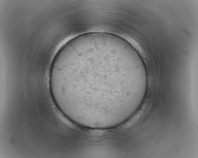 X0000114220854200911061505