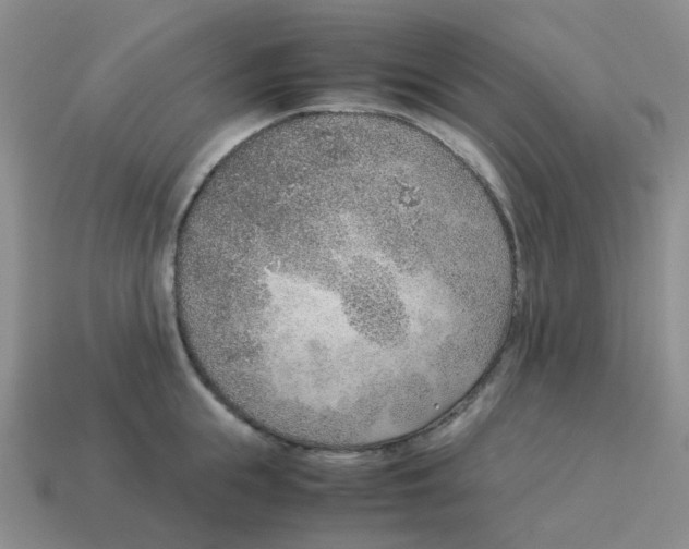 X0000114220855200911061505