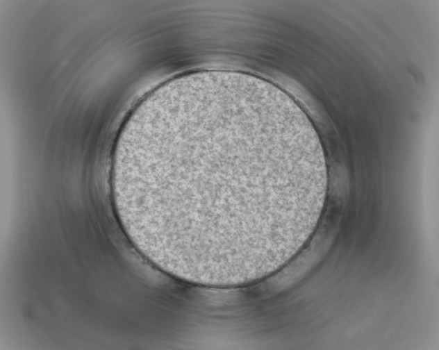 X0000114220856200911061505