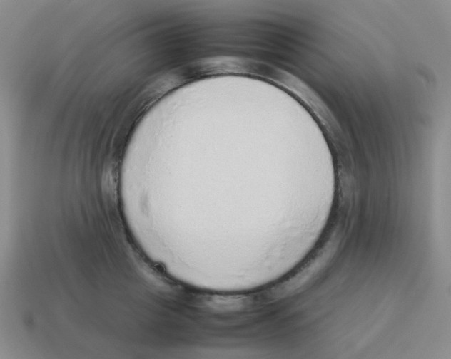 X0000114220857200911061505