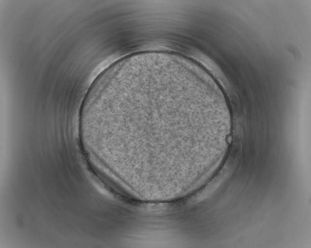 X0000114220858200911061505