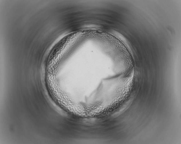 X0000114220859200911061505