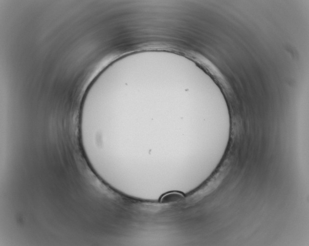 X0000114220860200911061505