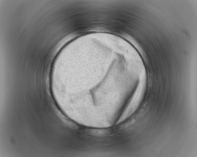 X0000114220861200911061505