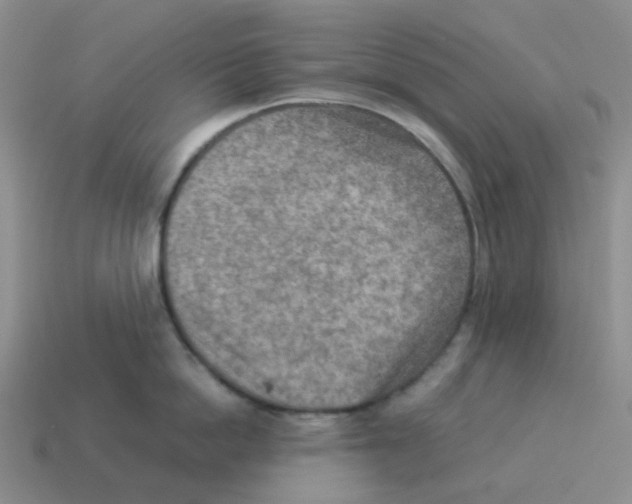 X0000114220862200911061505