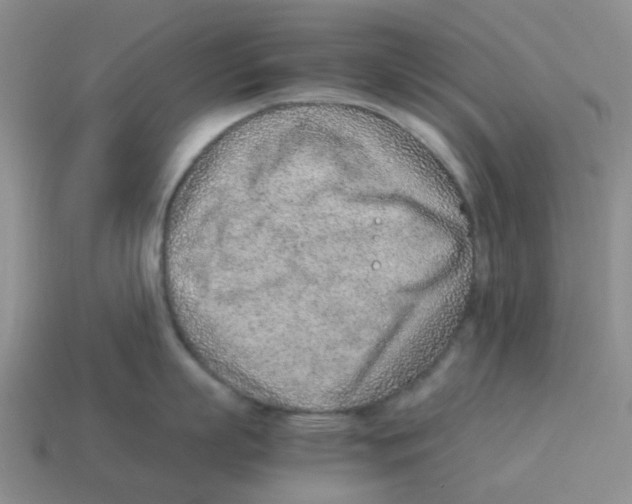 X0000114220863200911061505