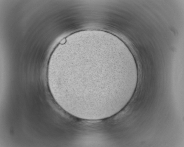 X0000114220864200911061505