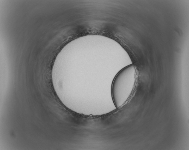 X0000114220865200911061505