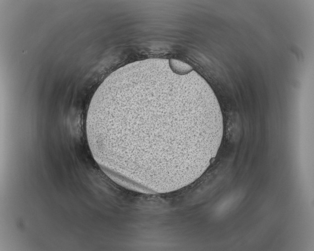 X0000114220866200911061505