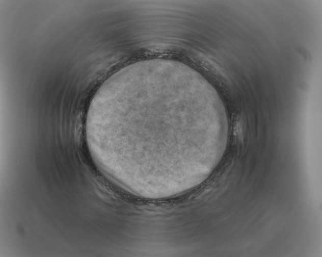 X0000114220868200911061505