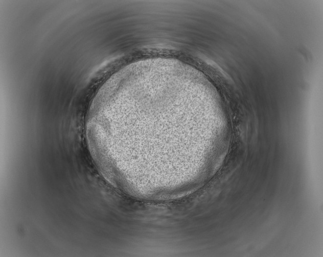 X0000114220870200911061505