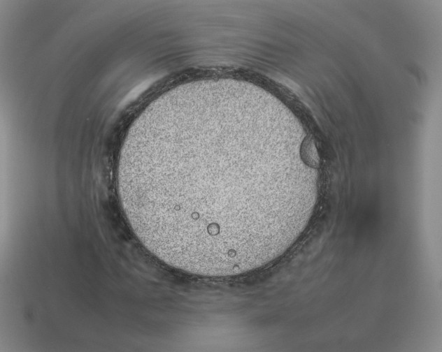 X0000114220871200911061505