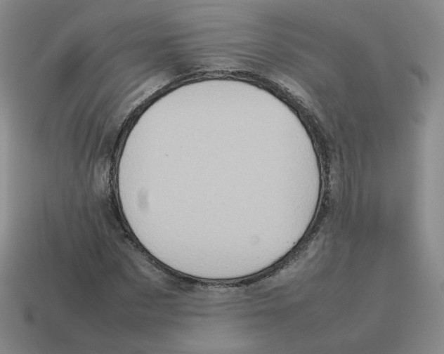 X0000114220873200911061505