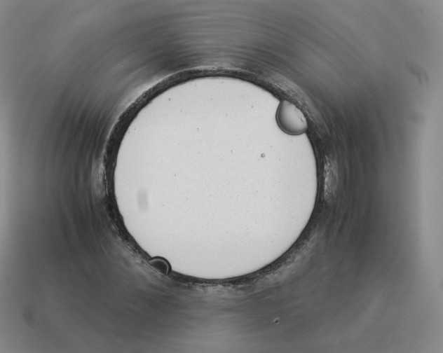 X0000114220876200911061505