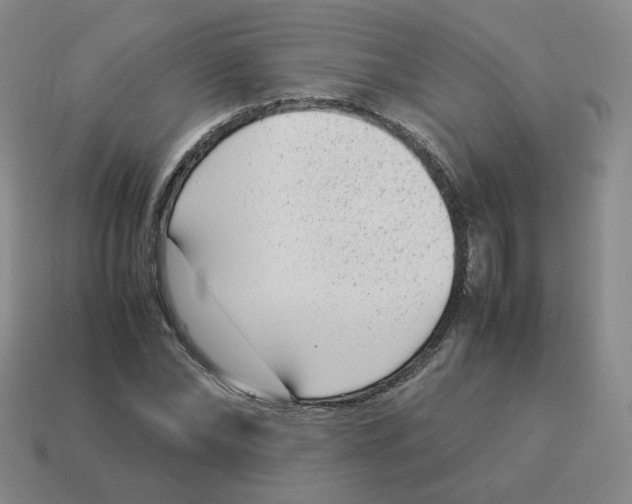 X0000114220878200911061504