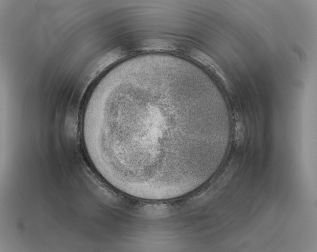 X0000114220882200911061504