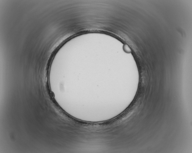 X0000114220885200911061504